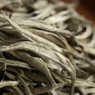 批发 云南普洱生茶 2023年月光白单芽 （大芽 ）老树茶 明前春茶图2