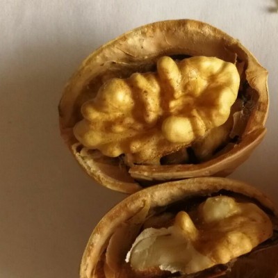 源头货源厂家直供量大从优 手捏即碎薄皮核桃、纸皮核桃、绵核桃图5