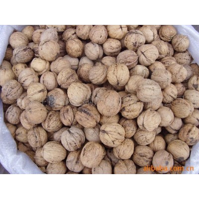 源头货源厂家直供量大从优 手捏即碎薄皮核桃、纸皮核桃、绵核桃图3
