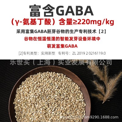 GABA糙米代餐 富含氨基丁酸 高发芽率留胚率 自有专利加工方法图3