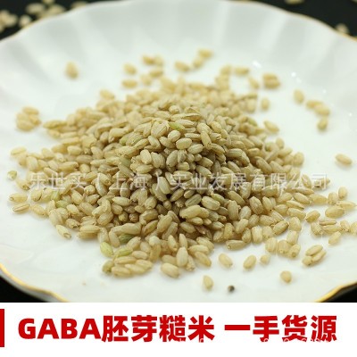 工厂批发 GABA糙米 技术专利 含γ氨基丁酸 膳食纤维代餐 500g图4