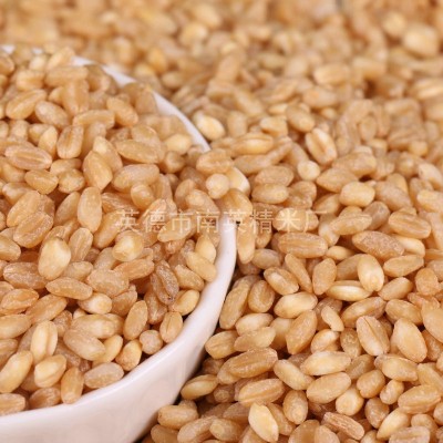 小麦仁过风过筛 五谷杂粮 小麦仁去皮麦仁 袋装 农家饲料小麦图2