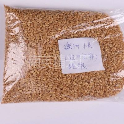 小麦仁过风过筛 五谷杂粮 小麦仁去皮麦仁 袋装 农家饲料小麦图3