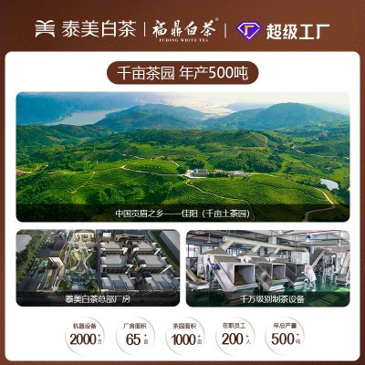 福鼎白茶五年陈老寿眉散茶批发磻溪原料正宗散装枣香老白茶叶图2
