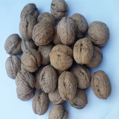 新疆纸皮核桃500g原色原味手捏即开薄皮核桃散装批发干果坚果零食图4