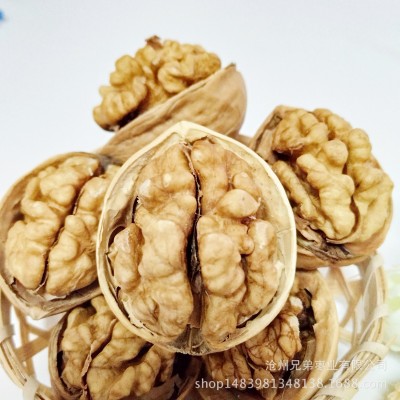 新疆特产薄皮核桃 皮薄肉厚老少皆宜休闲食品 生核桃袋装图3