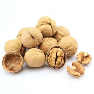 新疆特产薄皮核桃 皮薄肉厚老少皆宜休闲食品 生核桃袋装图4