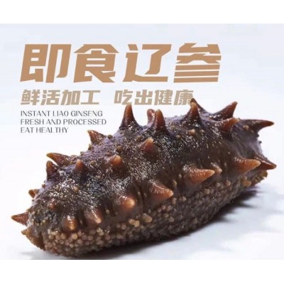 明尊8A级大连即食海参 大连鲜食刺参 工厂直营批发即食海参500g图5