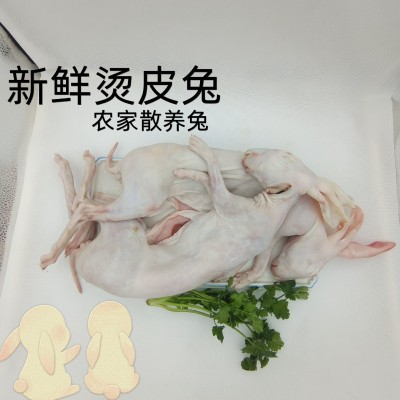 兔肉 兔子肉带皮兔肉 烫皮兔肉图3