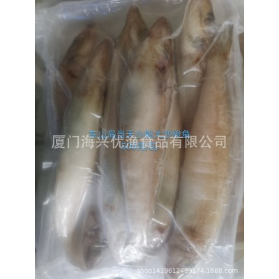 冻多春鱼 全籽多春鱼 柳叶鱼 海泥鳅沙溜鱼 梭子鱼餐饮食材批发图3