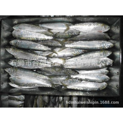 新上市灯光捕捞沙丁鱼 钓饵用 市场用鳁鱼 质优 120g图4