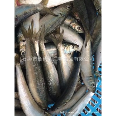 新上市灯光捕捞沙丁鱼 钓饵用 市场用鳁鱼 质优 120g图5