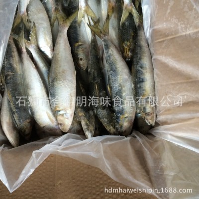 新上市灯光捕捞沙丁鱼 钓饵用 市场用鳁鱼 质优 120g图2