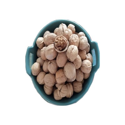 阿克苏纸皮核桃新疆特产坚果干果薄皮手剥纸皮核桃500g包邮图5