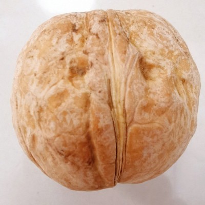 陇南特产有机核桃500g美味西坡图5