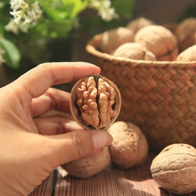 厂家直销新疆阿克苏核桃 185纸皮核桃散装500g 一级核桃批发图2