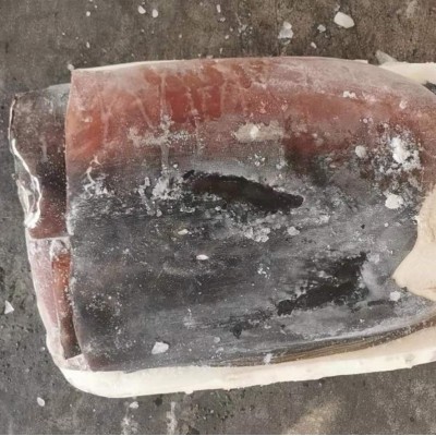 船冻秘鲁鱿鱼大片冻片 船冻鱿鱼大肉片 海产品速冻鱿鱼批发图3