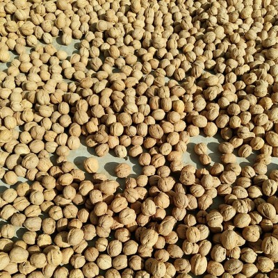 新货新疆特产薄皮手剥185纸皮核桃生核桃9斤整箱包邮坚果干果零食图4