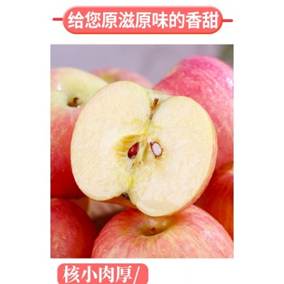 苹果图4
