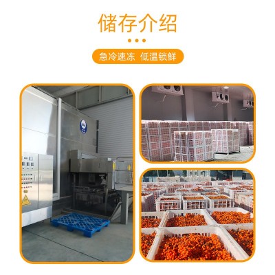 新疆阿合奇大果深秋红沙棘果子棘鲜丰沙棘原浆1吨厂家直销图5