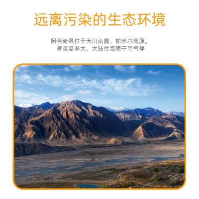 新疆阿合奇大果深秋红沙棘果子棘鲜丰沙棘原浆1吨厂家直销图3