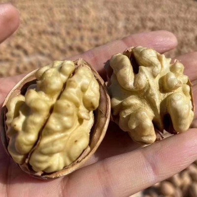 新疆185纸皮核桃新货散装500克/袋薄壳原味孕妇薄皮薄皮核桃批发图2