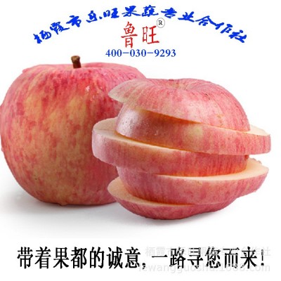 烟台苹果 给淘宝供货 产区行情 2001条纹80#1-2出库价 净重10斤装图2