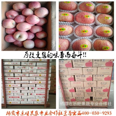烟台苹果 给淘宝供货 产区行情 2001条纹80#1-2出库价 净重10斤装图3