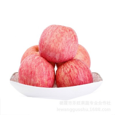 烟台苹果 给淘宝供货 产区行情 2001条纹80#1-2出库价 净重10斤装图5
