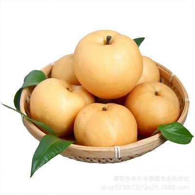 山东烟台莱阳丰水梨 非秋月梨水果产地脆梨 微商代理一件代发梨子图5