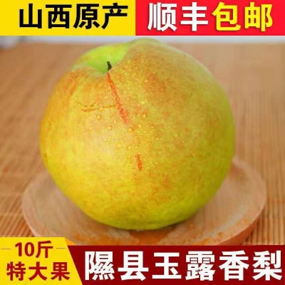 山西临汾隰县玉露香梨新鲜孕妇水果梨子应季包邮现摘当季10斤香梨图3