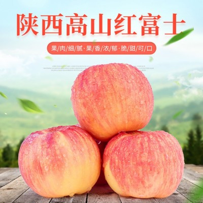 陕西红富士苹果10斤脆甜水果孕妇苹果新鲜水果整箱批发代发图2