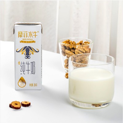 来思尔摩菲水牛乳纯牛奶206g10盒一件发成人学生摩早餐奶图4