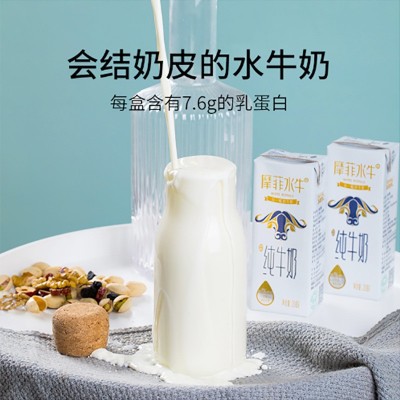 来思尔摩菲水牛乳纯牛奶206g10盒一件发成人学生摩早餐奶图3