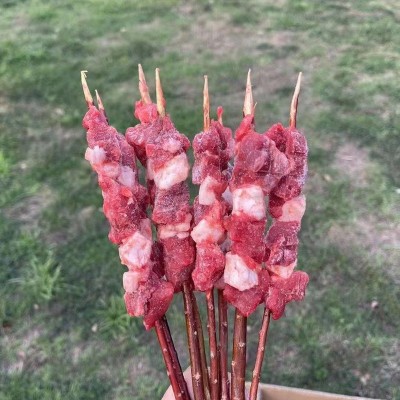 食满佳鲜红柳罗布羊肉串 红柳烤肉烤串羊肉大肉串鲜嫩图4