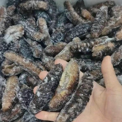 土耳其冰岛米刺参 希腊刺参餐饮食材批发 500g袋装冻干海参水产图5