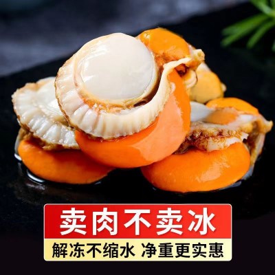 扇贝肉大号无冰衣鲜活新鲜批发一整箱真空包装带黄冷冻全贝图3