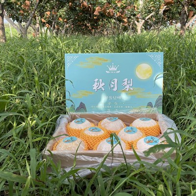 正宗莱阳秋月梨不掺假大礼盒7.5-8斤7-10个果图4