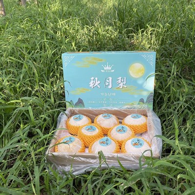 正宗莱阳秋月梨不掺假大礼盒7.5-8斤7-10个果图5