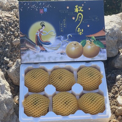 正宗莱阳秋月梨一件代发批发落地配社区团购4.5斤4-6个精选大果图4
