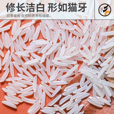 冠粮谷猫牙米做煲仔饭籼米入口软糯当季新米5kg真空包装批发图3