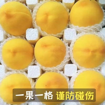 黄金油桃应季大桃子新鲜水果整箱黄肉脆桃水密桃黄肉蜜脆大桃包邮图3