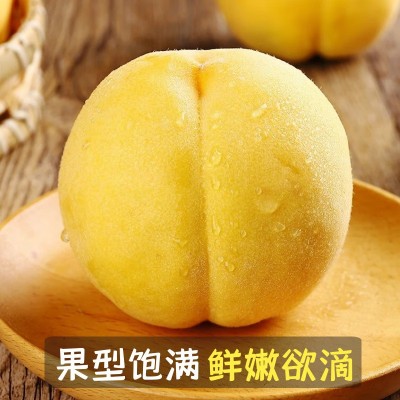 黄金油桃应季大桃子新鲜水果整箱黄肉脆桃水密桃黄肉蜜脆大桃包邮图2
