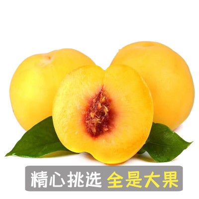 黄金油桃应季大桃子新鲜水果整箱黄肉脆桃水密桃黄肉蜜脆大桃包邮图4