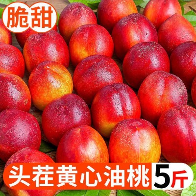 山东黄心油桃5斤水果批发应季时令整箱孕妇甜蜜桃新鲜水果桃包邮图2