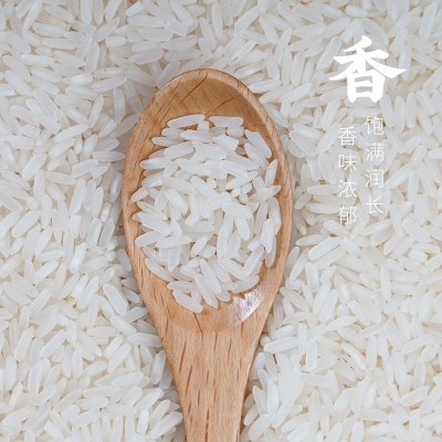 湖北恩施厂家批发长粒香籼米会销礼品团购福利5斤10斤装富硒大米图3