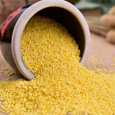 人民食品 桃花糯小米蔚县黄小米宝宝米月子米包粽子米2kg(4斤)图2