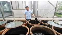 “小特产”升级“大产业” 山西榆次：打造千亿级农产品精深加工产业助力乡村振兴