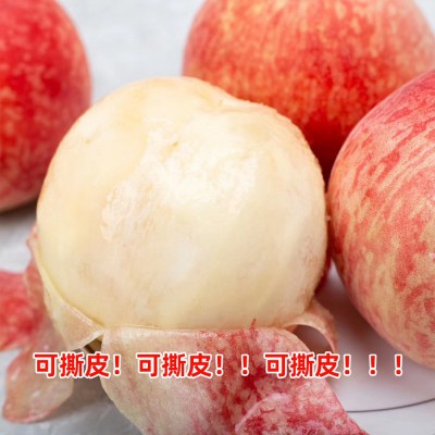 【顺丰空运】四川龙泉水蜜桃新鲜应季水果蜜桃大桃子一件代发批发图3