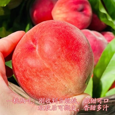 【顺丰空运】四川龙泉水蜜桃新鲜应季水果蜜桃大桃子一件代发批发图2